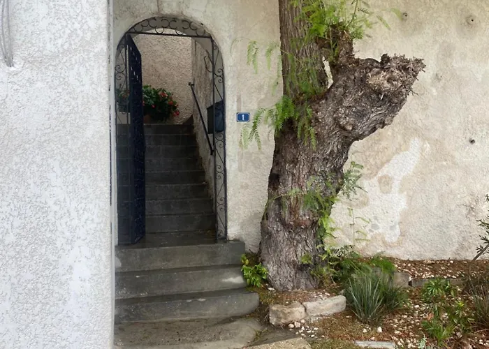 Splendide Miramar Vue Avec Terrasse * Бандоль